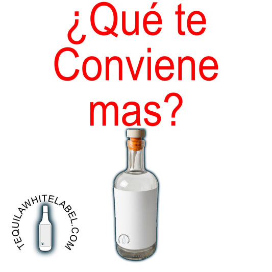 Webinar: Discover the Best Way to Start in the Tequila and Mezcal Business