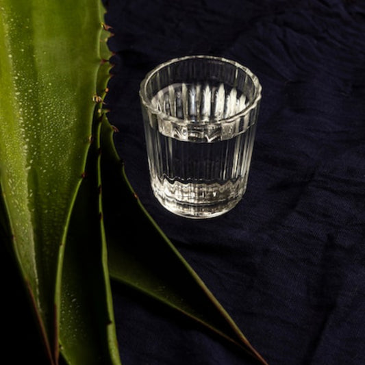 Cómo Degustar Tequila como un Experto: Consejos de Catadores