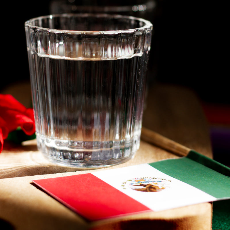 El Impacto del Tequila en la Economía de México