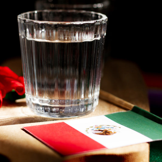 El Impacto del Tequila en la Economía de México