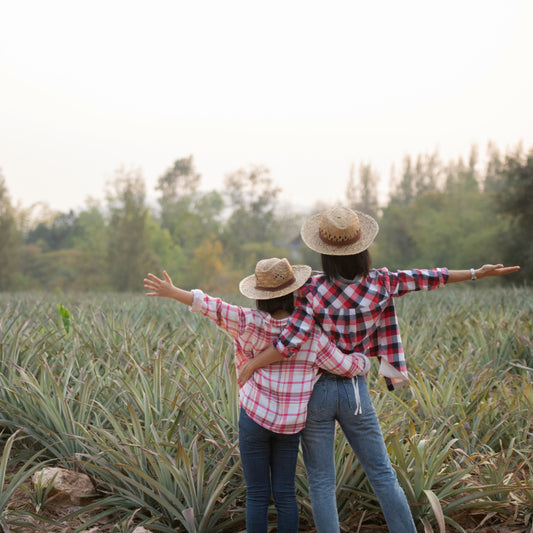 Viaje a la Cuna del Tequila: Oferta Exclusiva en Comprachelas.com y Compratequila.com, Inspirada en la Tierra Perfecta para el Agave Azul Tequilana Weber