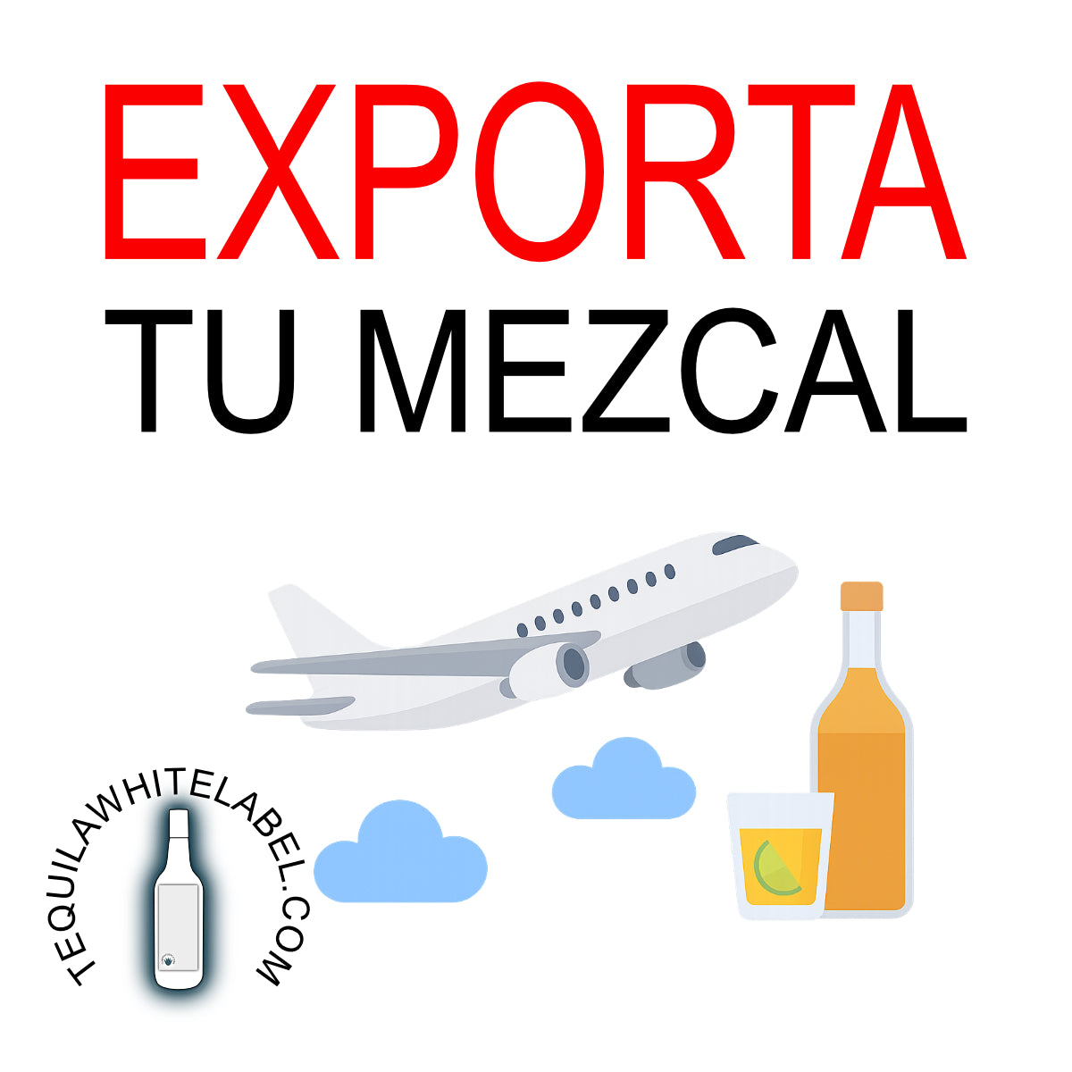 Export Webinar: Avoid the Most Common Mistakes When Exporting Food and Beverages (Tequila, Mezcal, and Spirits) 