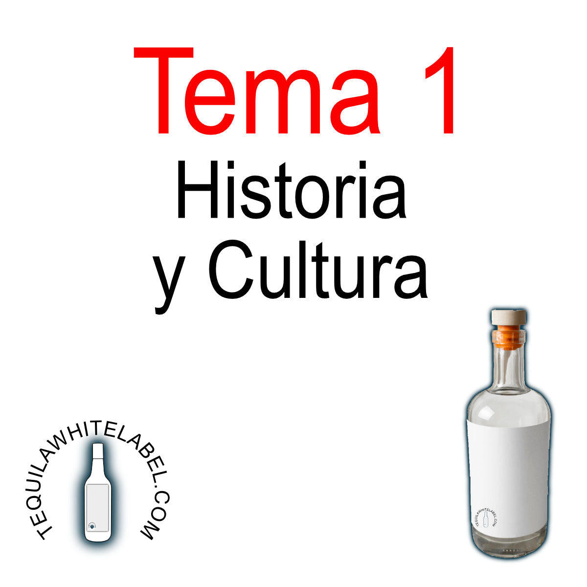 Curso Online para Crear tu Marca de Tequila o Mezcal en Tiempo Récord – ¡Conquista el Mercado en 4 Semanas!