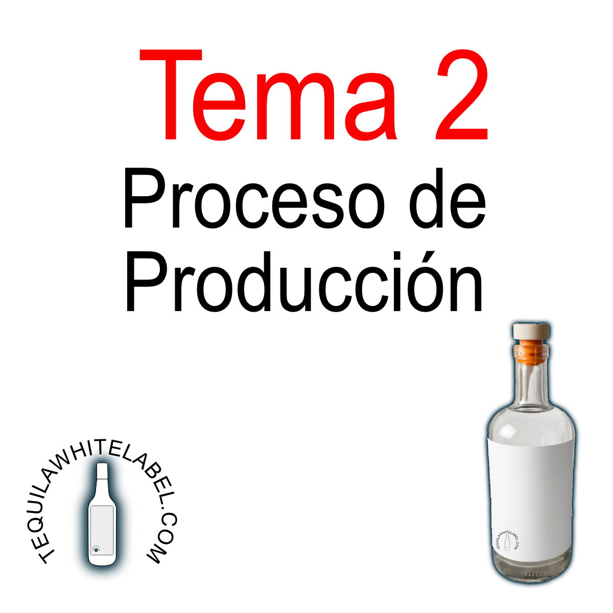 Curso Online para Crear tu Marca de Tequila o Mezcal en Tiempo Récord – ¡Conquista el Mercado en 4 Semanas!