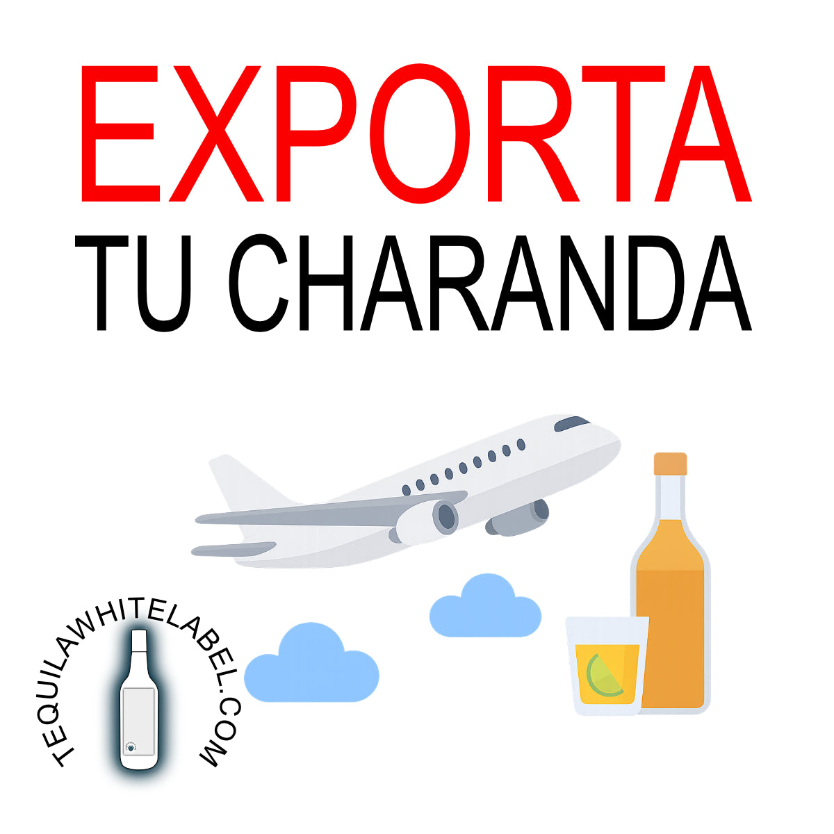 Export Webinar: Avoid the Most Common Mistakes When Exporting Food and Beverages (Tequila, Mezcal, and Spirits) 