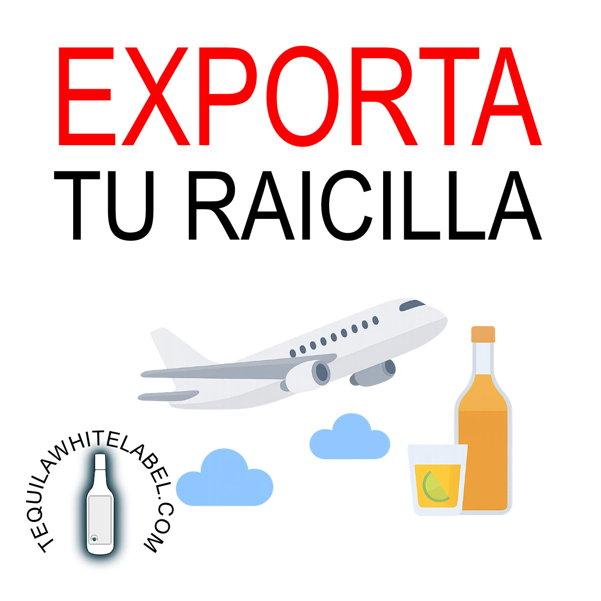 Export Webinar: Avoid the Most Common Mistakes When Exporting Food and Beverages (Tequila, Mezcal, and Spirits) 