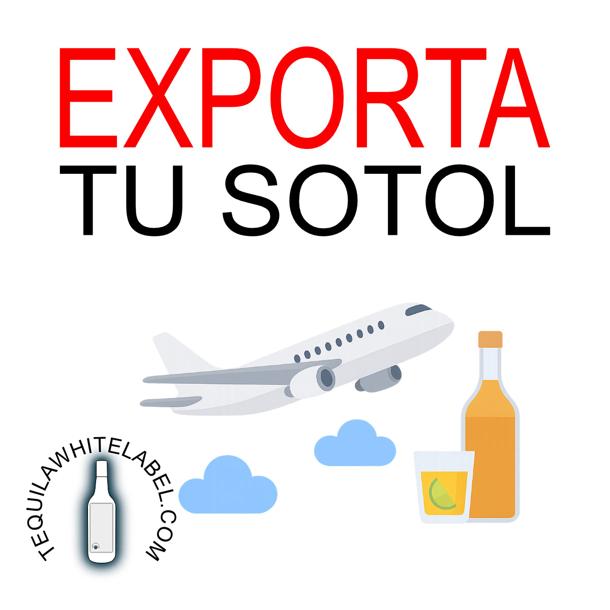 Export Webinar: Avoid the Most Common Mistakes When Exporting Food and Beverages (Tequila, Mezcal, and Spirits) 
